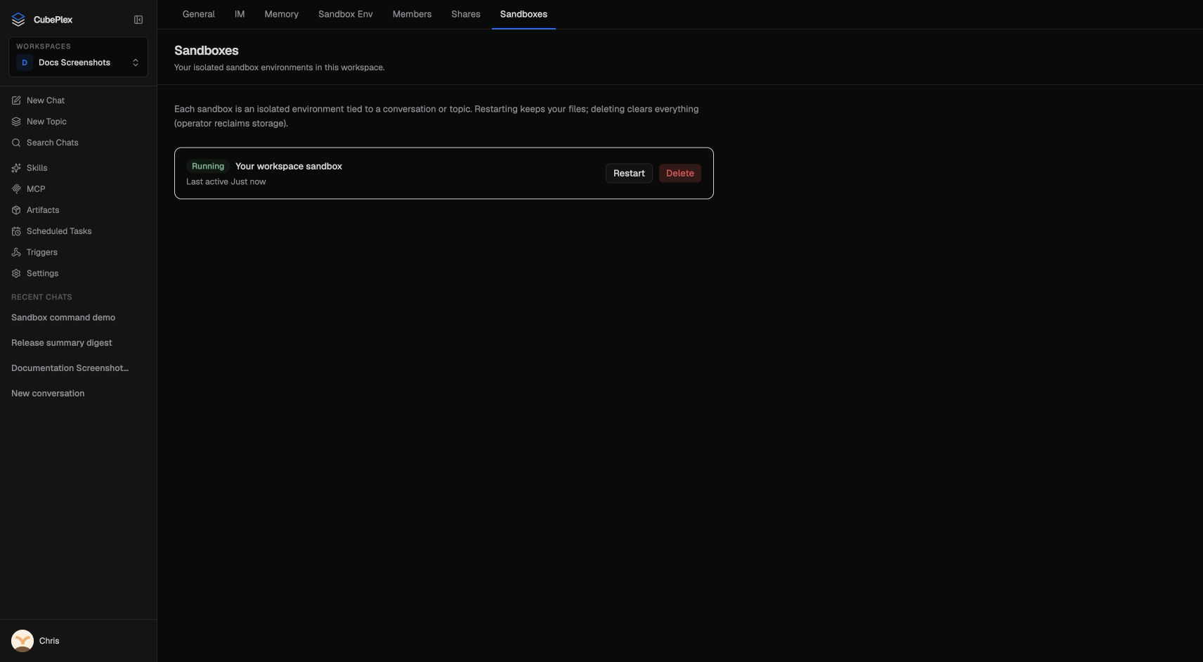 Workspace settings Sandboxes tab showing a running sandbox with Restart and Delete actions